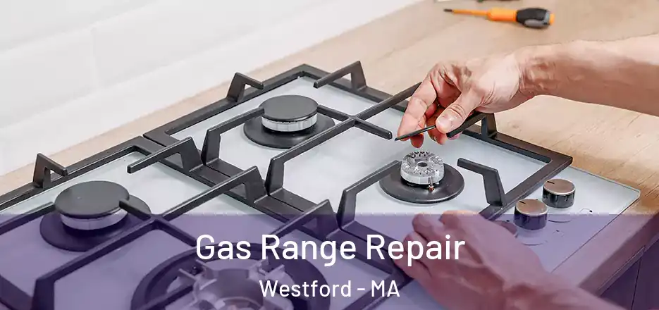  Gas Range Repair Westford - MA