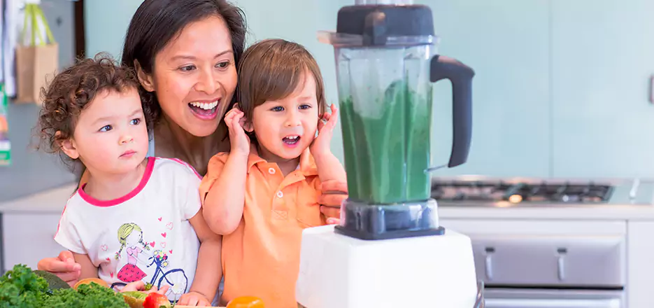 Juicer and Mixer Blender Repair in Westford 