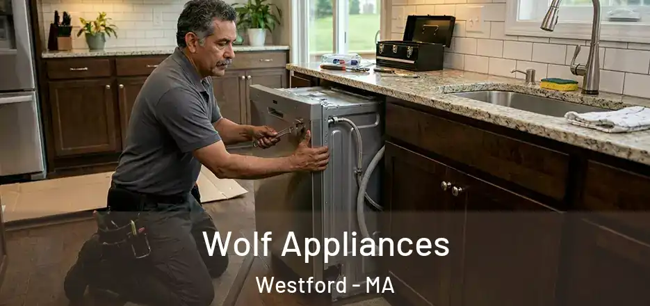  Wolf Appliances Westford - MA